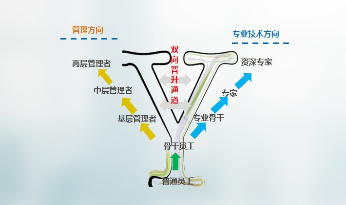 j9.com-(中国区)九游会j9官方网站