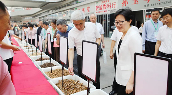 j9.com-(中国区)九游会j9官方网站