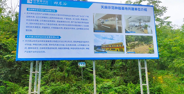 1743145480 j9.com-(中国区)九游会j9官方网站