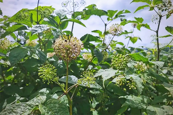 1756091226 j9.com-(中国区)九游会j9官方网站